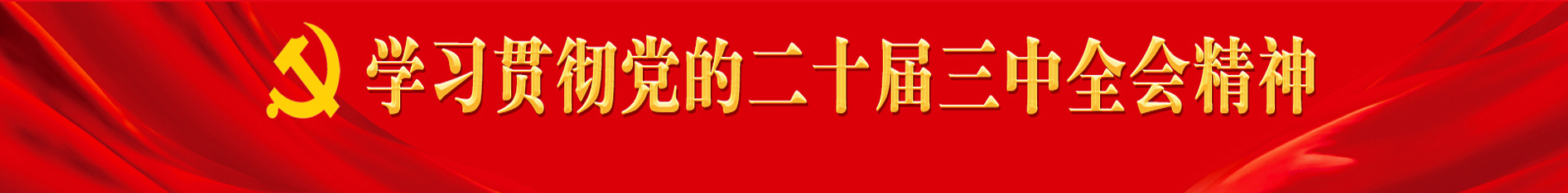 學(xué)習(xí)貫徹黨的二十屆三中全會(huì)精神